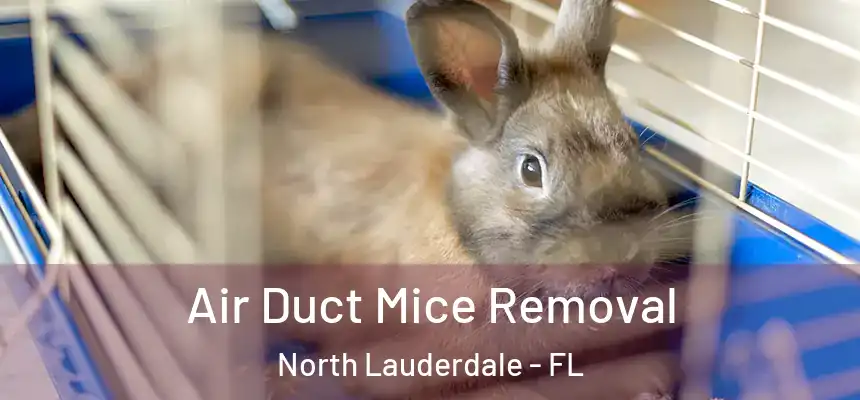 Air Duct Mice Removal North Lauderdale - FL