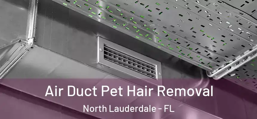 Air Duct Pet Hair Removal North Lauderdale - FL