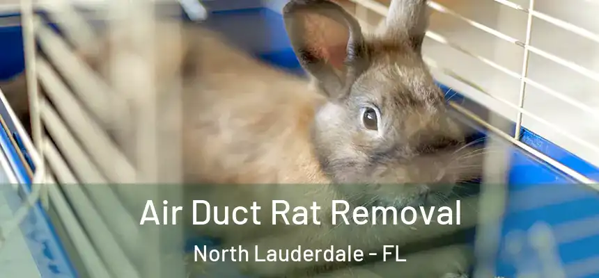Air Duct Rat Removal North Lauderdale - FL