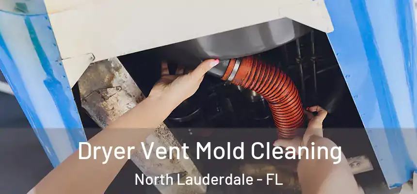 Dryer Vent Mold Cleaning North Lauderdale - FL