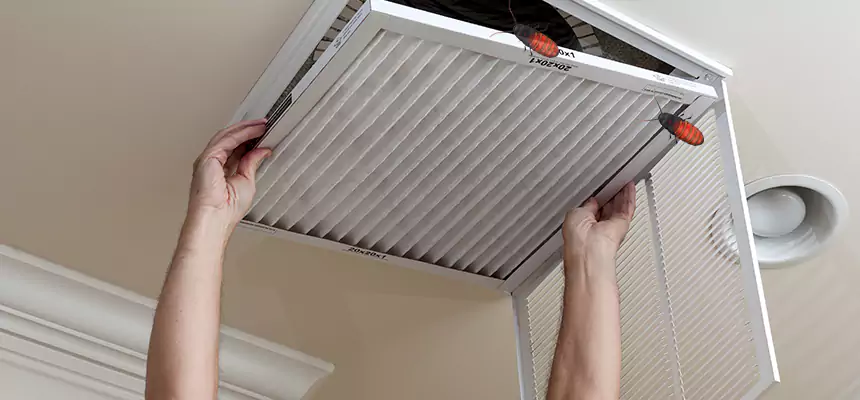 Our Insect Removal from Air Ducts Services in North Lauderdale, FL
