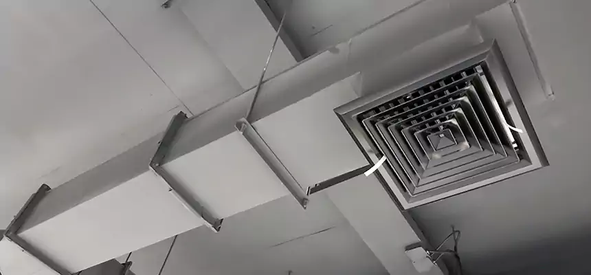 Our Rodent Droppings In Vents Services in North Lauderdale, FL