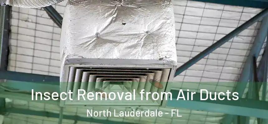  Insect Removal from Air Ducts North Lauderdale - FL