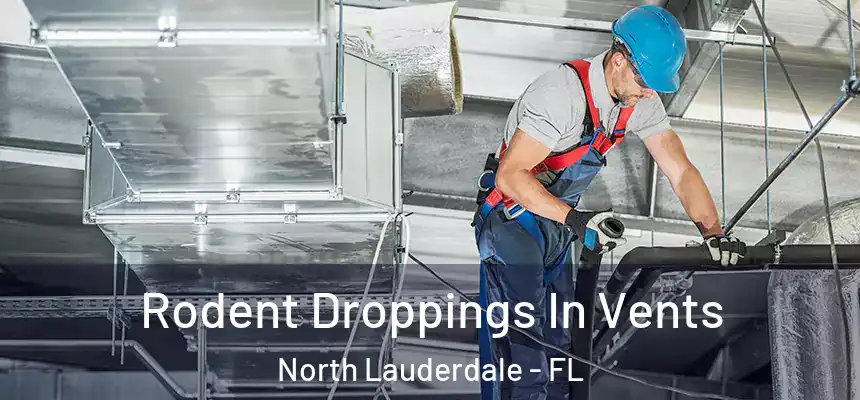Rodent Droppings In Vents North Lauderdale - FL