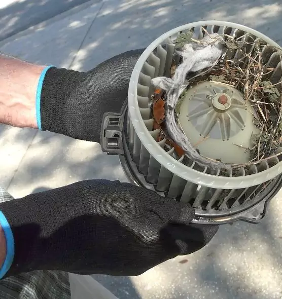 About Air Duct Mice Removal in North Lauderdale, FL