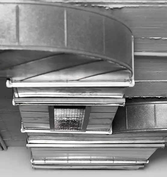 Professional Air Duct Pet Hair Removal in North Lauderdale, FL