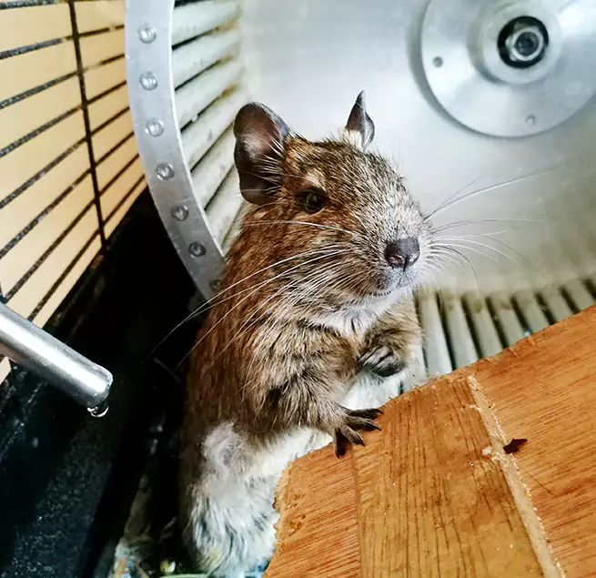 Why Homeowners & Businesses Trust Us North Lauderdale, FL