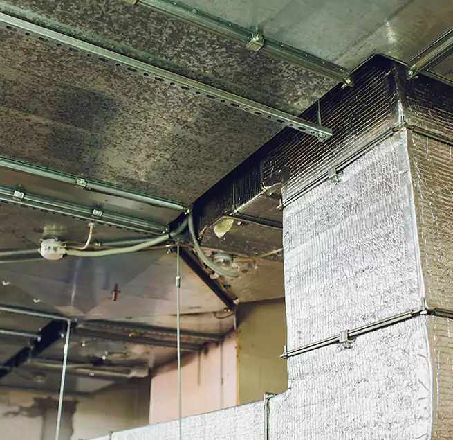 Why Homeowners & Businesses Trust Us in North Lauderdale, FL?